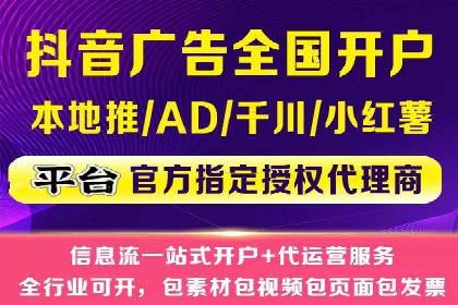 某某SEM服务公司成功案例：从数据出发的营销策略